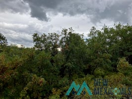 20089176