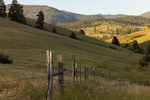 30931422
