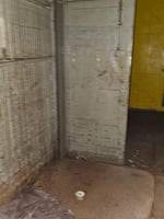 29761611