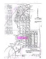 20282884