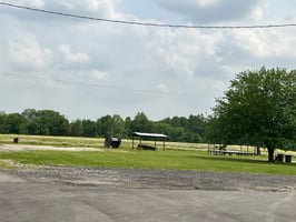 19986405