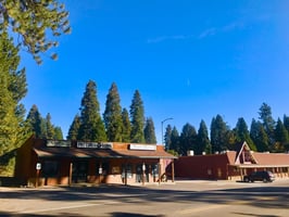 20008509