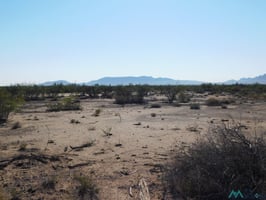 20008960