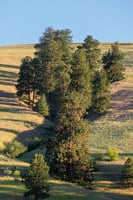 20022502