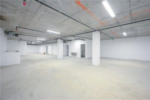 20024099
