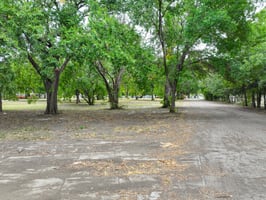 20081358