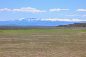 20028657