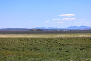 20028662