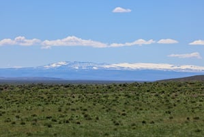 20028674