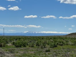 20028663