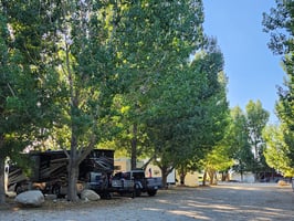 20114949