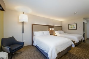 20050009