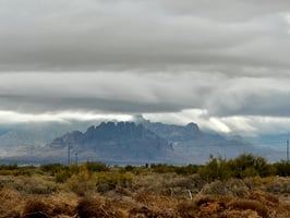 20067433