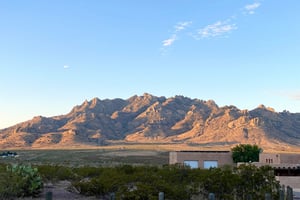 20067431