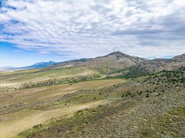 20067534