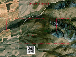 20067527