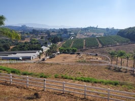 20086550