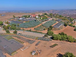 20086554
