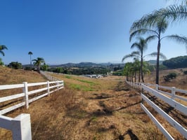 20086549