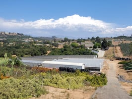 20086540