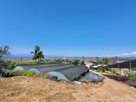 20086541