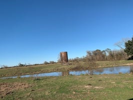 20089385