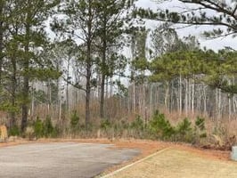 21772698