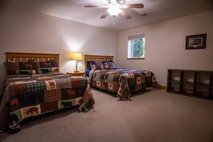 20152954