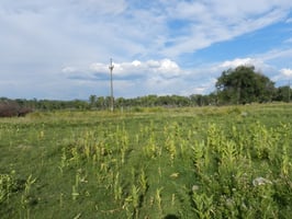 20114145
