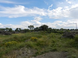 20114141