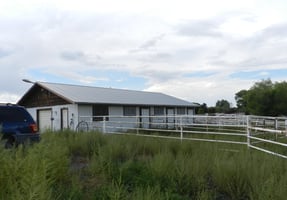20114134