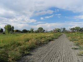 20114146
