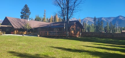 20118462