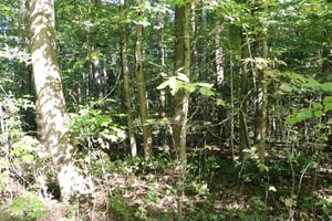 20120556