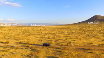 20136266