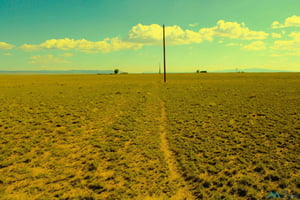 20138898