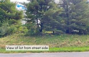 20140099
