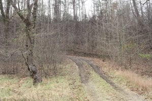 20146442