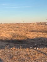 20148476