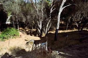 21648426