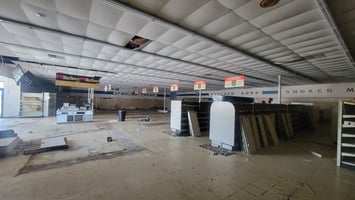 31563685