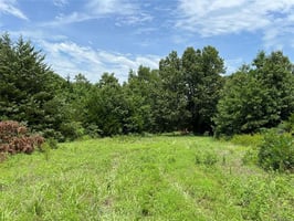 20156478