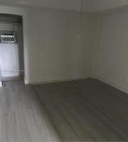 23849806
