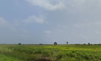 20193145