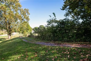 20195375
