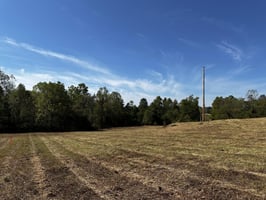 20199347