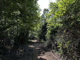 20199333