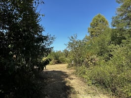 20199331