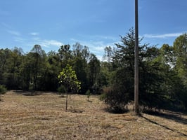 20199353