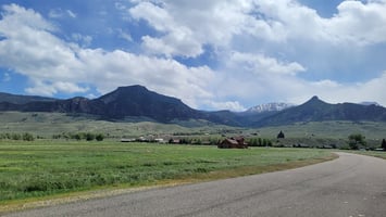 20199832